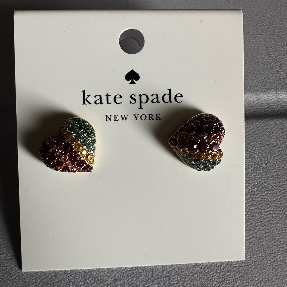 Multi Colored Earrings